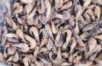 22VR GARNALEN P2437525