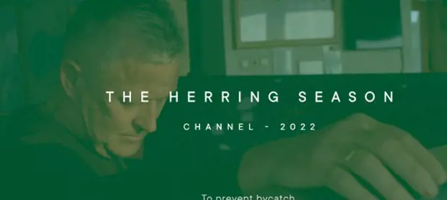 Selectivity And Detaction