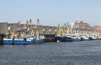 Kotters In Scheveningen
