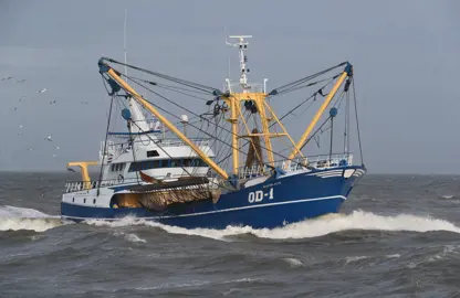 Copy (1) Of OD 1 UB1A4165