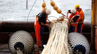 Uitzetten Netten Achterdek Trawler