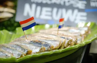 Fullres Cornelis Vrolijk 022022 0035