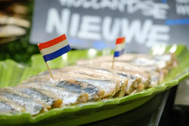 Fullres Cornelis Vrolijk 022022 0035