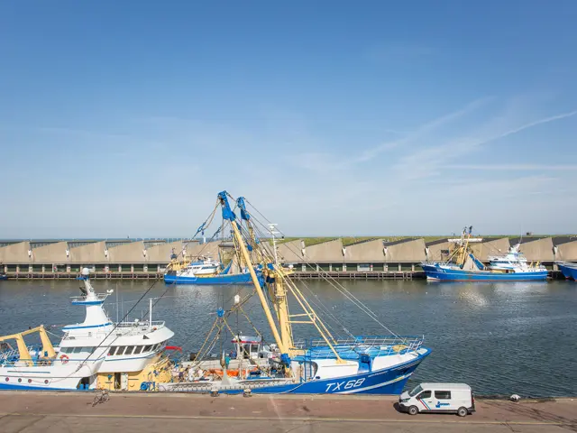 Jaczon Beeldbank 0131