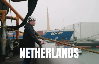 MSC Haring 2026