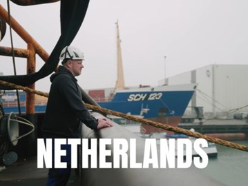 MSC Haring 2026