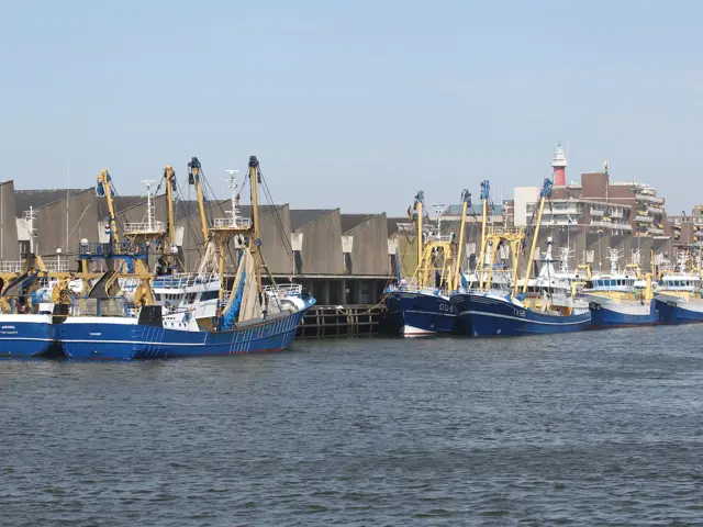 Kotters Voor De Afslag In Scheveningen
