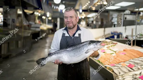Stock Photo Male Fishmonger Wearing An Apron Holding Large And Whole Salmon Fish In Front Of Display Counter 742431265