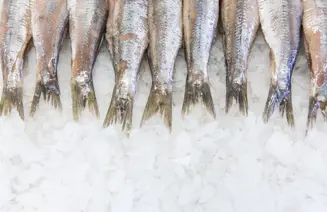 Fullres Den Dulk 0092