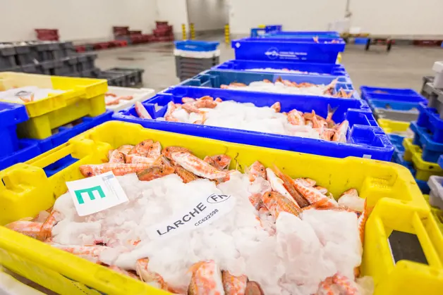 Jaczon Beeldbank 0047