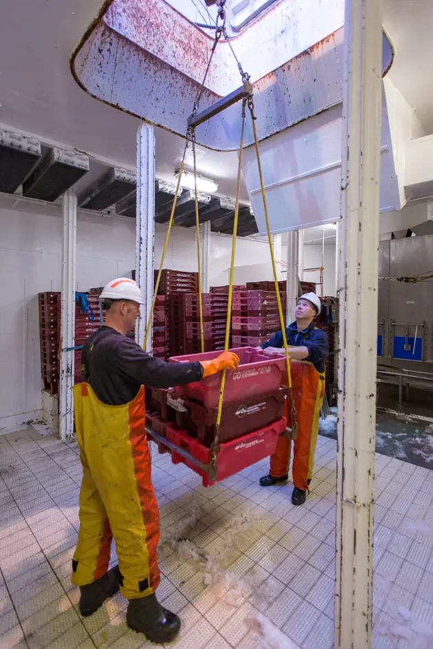 Jaczon Beeldbank 0002